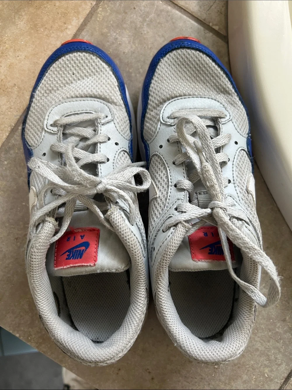 Nike Air Max sneakers